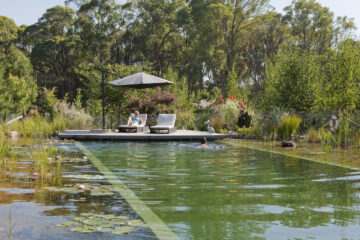 Natural Swimming Pool Maintenance