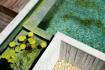 Concrete Natural Swimming Pools