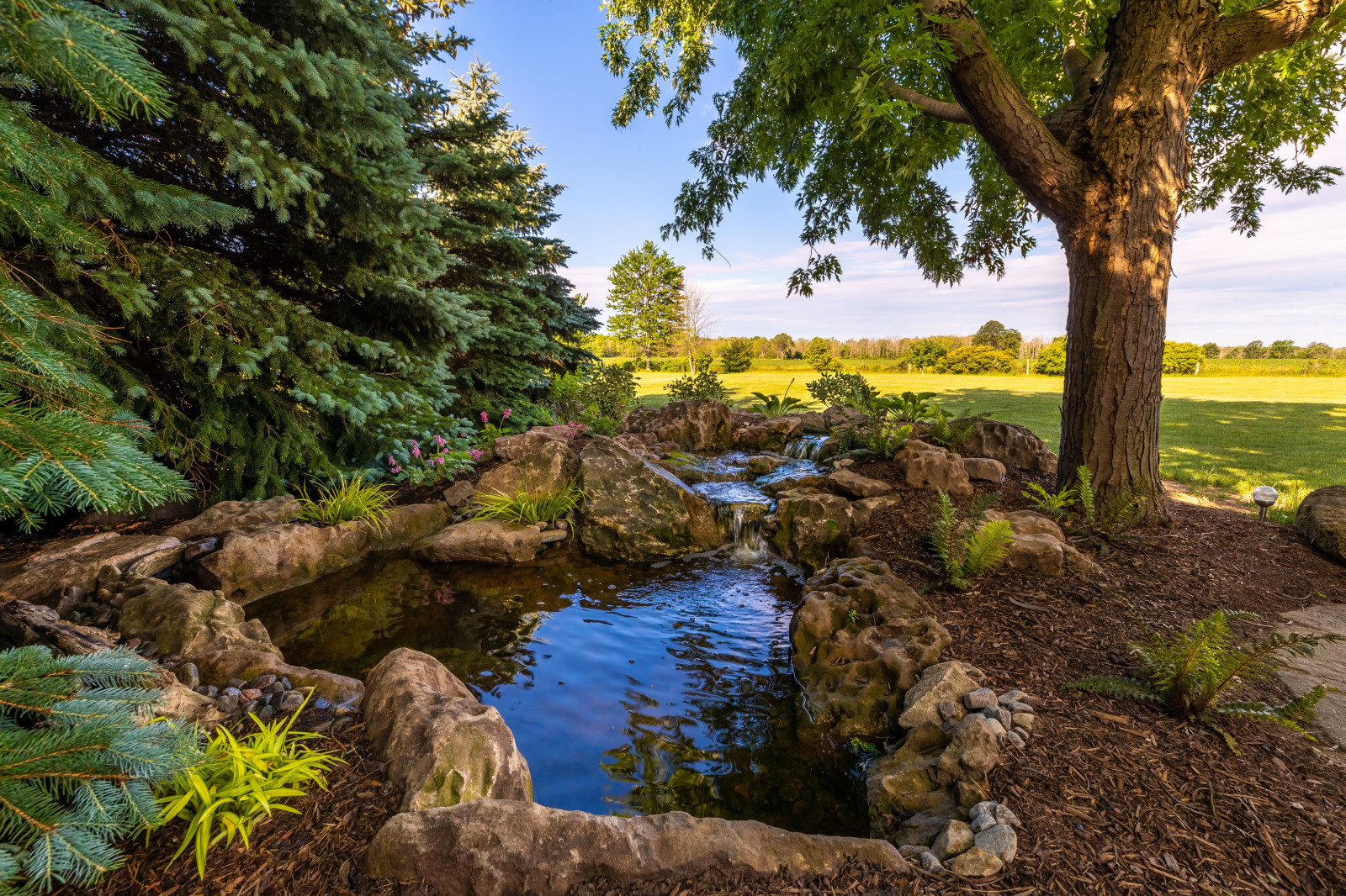 Cost of a Natural Swimming Pool