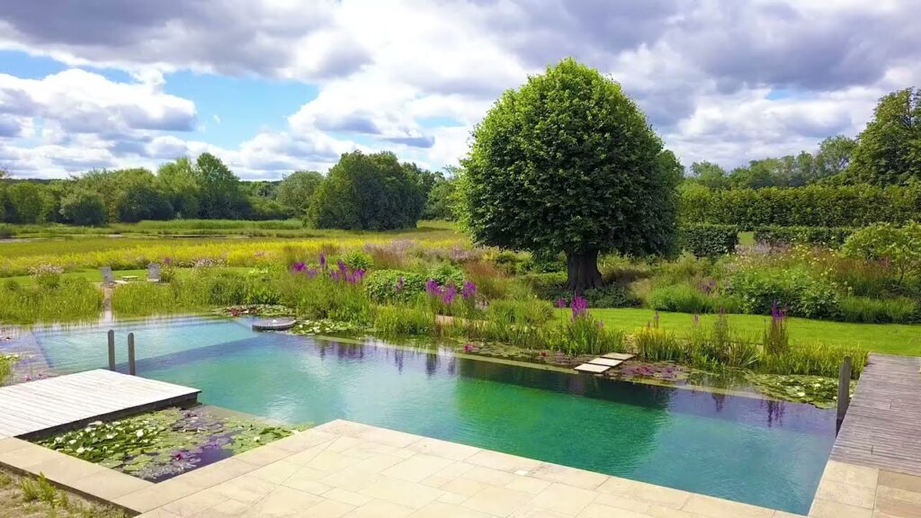 The Beauty of Natural Swimming Pools