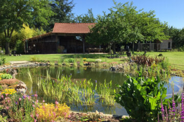 Selecting plants for your natural pool