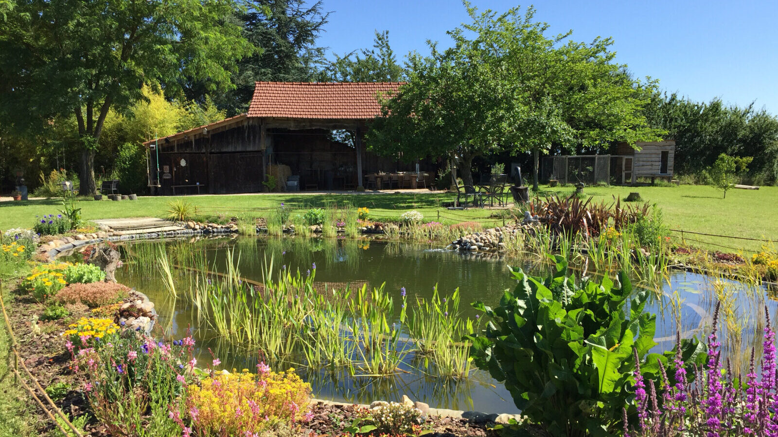 Selecting Plants for Your Natural Pool