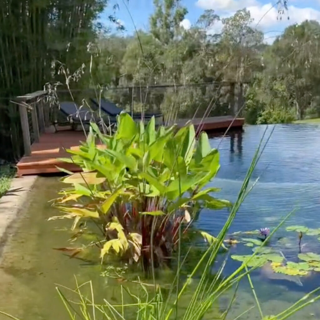 Building a concrete water tank natural swimming pool